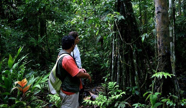 Madidi Jungle Ecolodge Activities