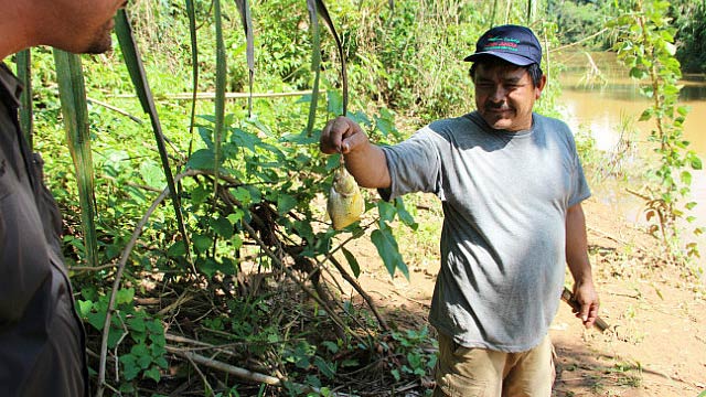 Madidi Jungle Ecolodge piranha fishing