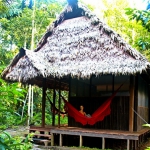 Private cabin with private bathroom / Casita exclusiva - Madidi Jungle 