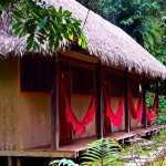 Cabin with shared bathroom/Caba�a con ba�o compartido - Madidi Jungle 