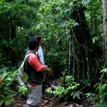 Rainforest interpretations/Interpretacion del Bosque