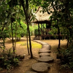 Trail to the exclusive cabin/Sendero a las cabañas privadas