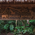 Sign Logo / Letrero (Madidi Jungle)  