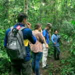 Hiking in the jungle/Caminatas en la selva