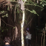 Night hiking in the jungle/ Caminata nocturna en la selva