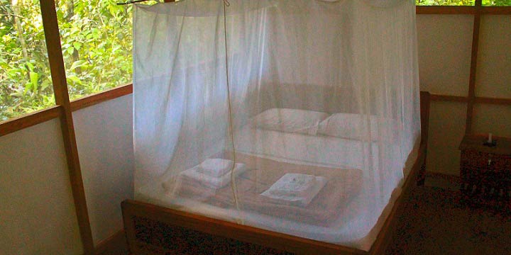 Madidi Jungle Ecolodge double bed
